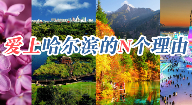 爱上哈尔滨的N个理由