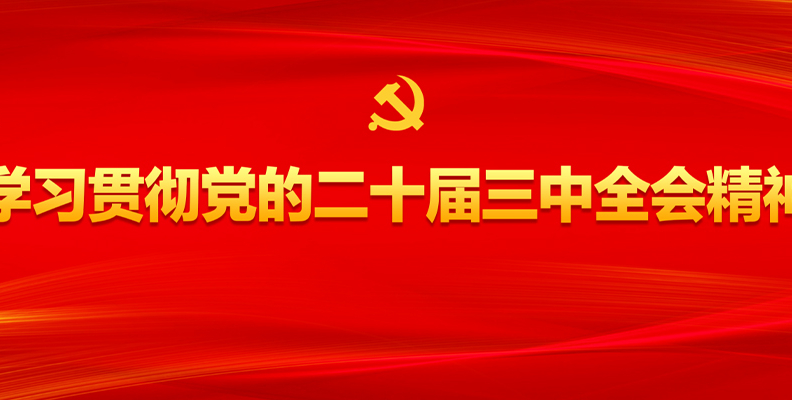 学习贯彻党的二十届三中全会精神